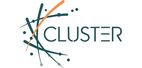 Cluster